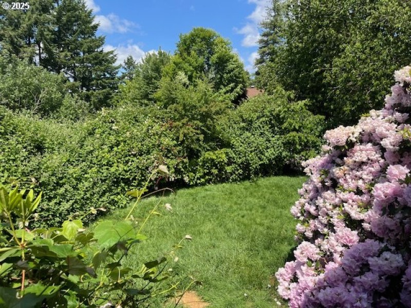 Yard
