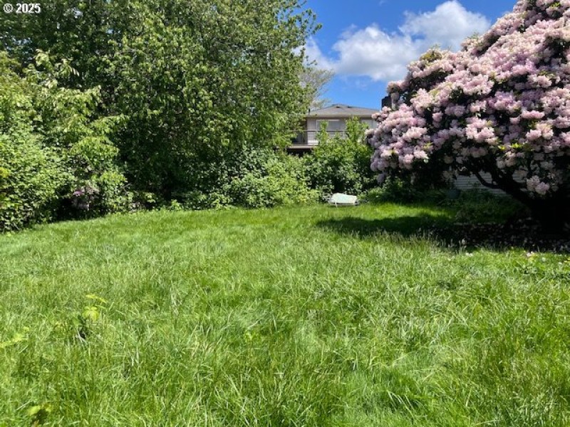 Yard