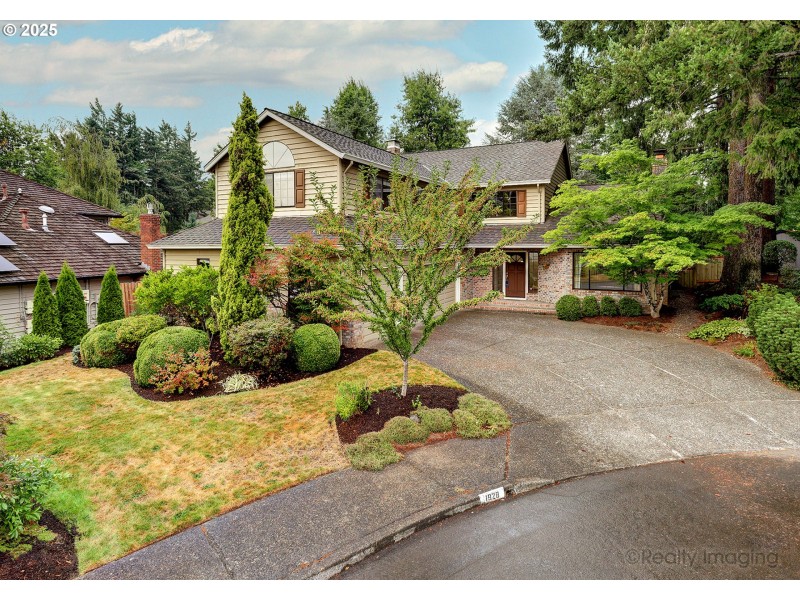 Front Yard
