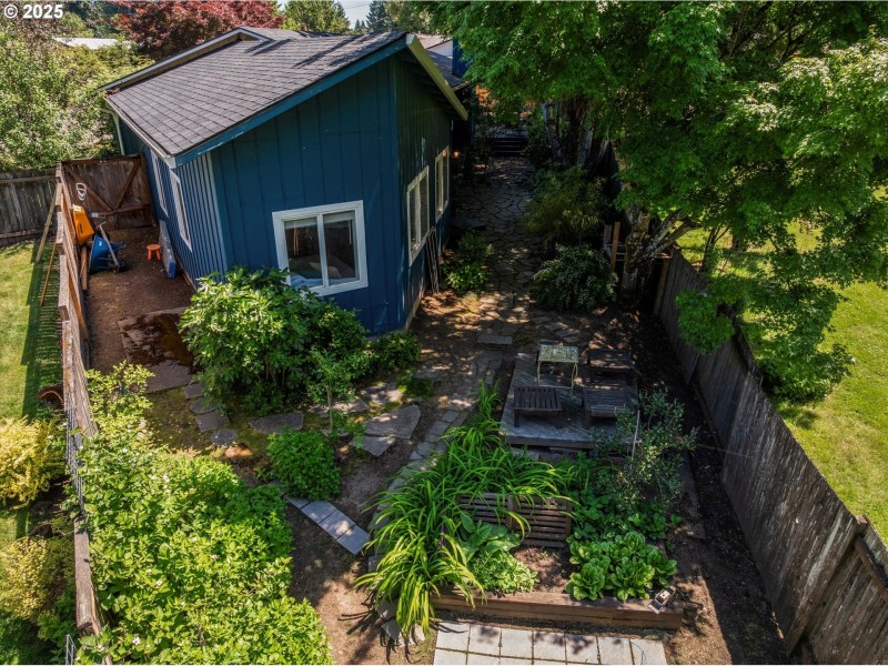 Backyard