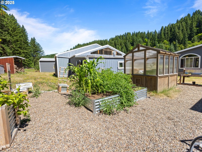 Greenhouse
