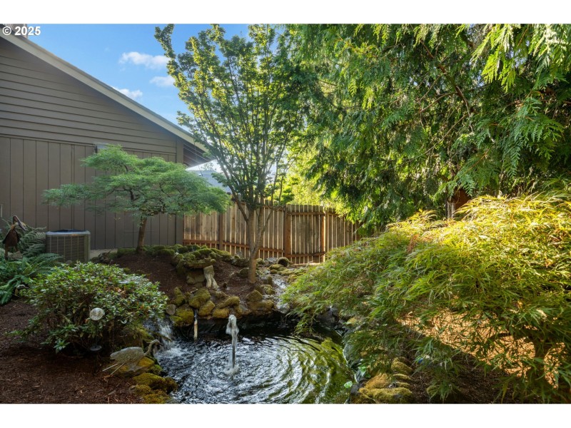 Water Feature