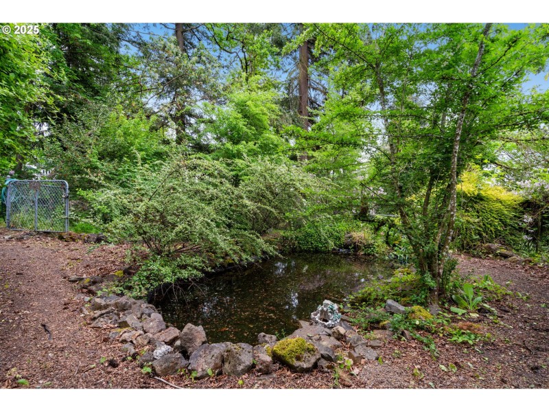 Pond
