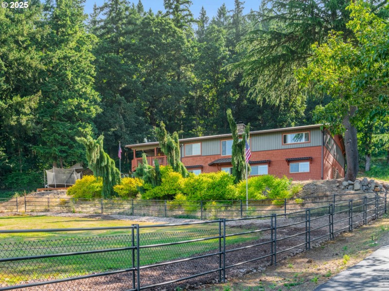 Front Yard