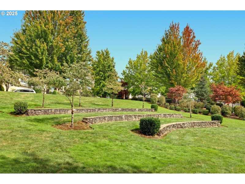 Community Park