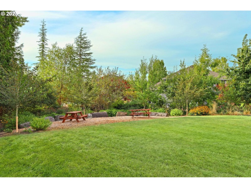 Community Park