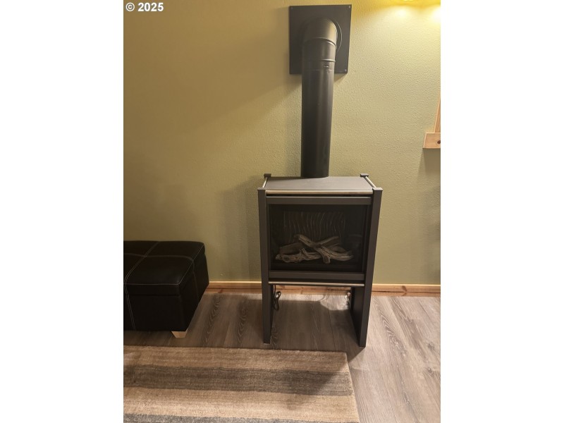 Fireplace Gas Burning Stove/Insert