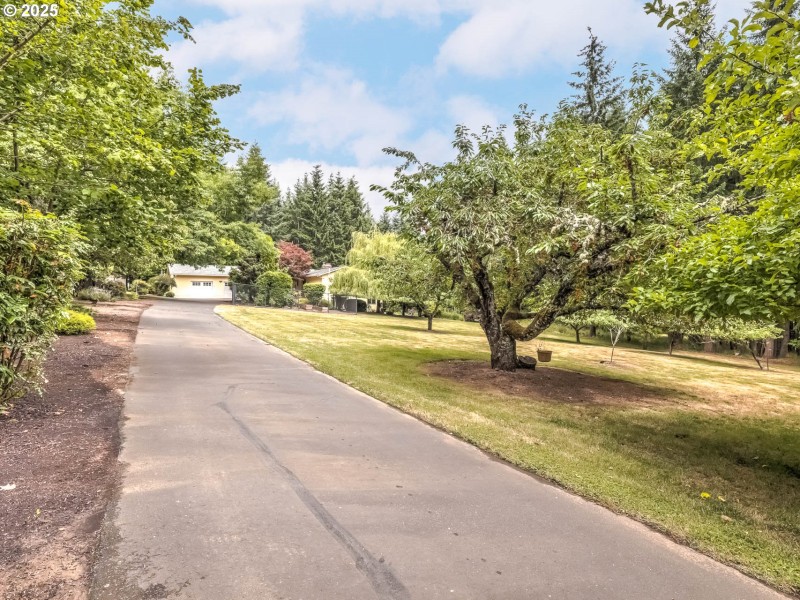 Driveway