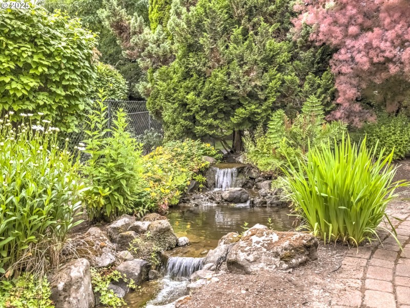 Water Feature