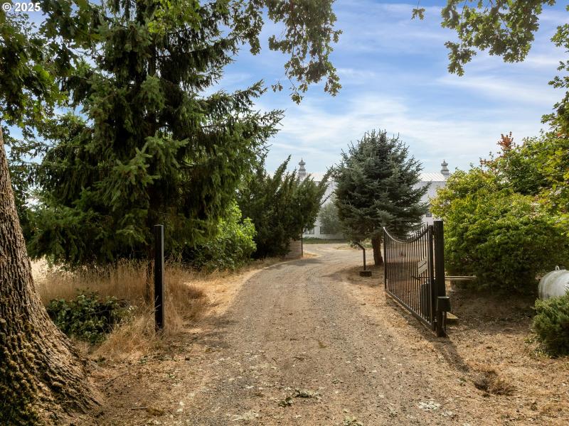 Driveway