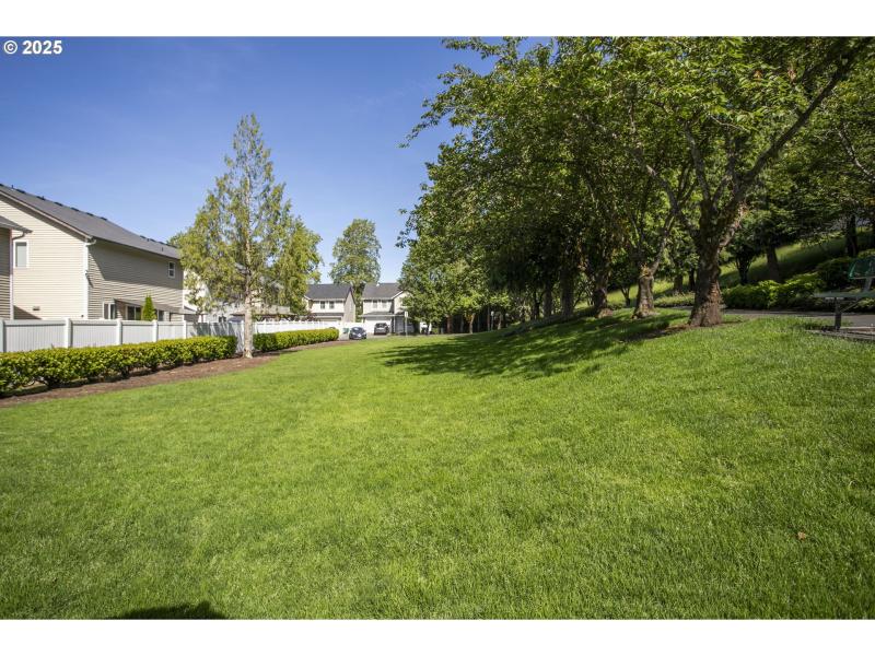 Neighborhood Park