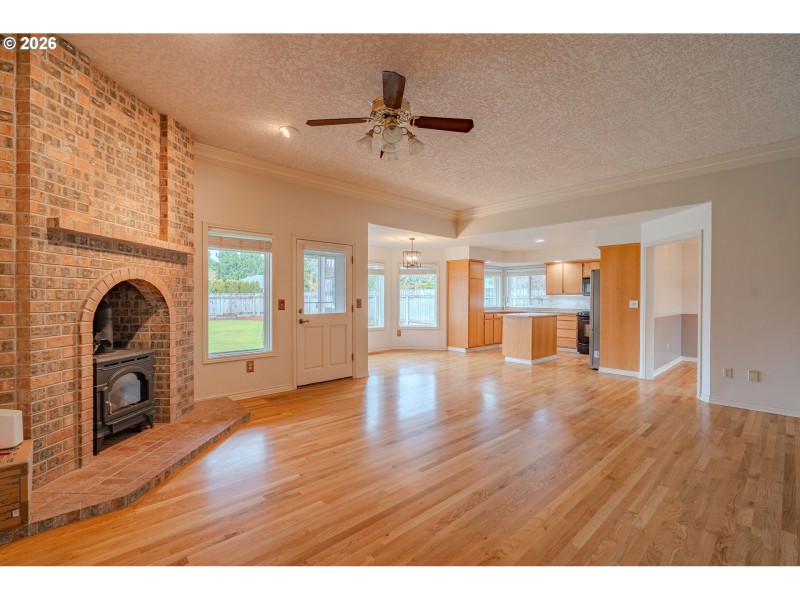 Fireplace Gas Burning Stove/Insert