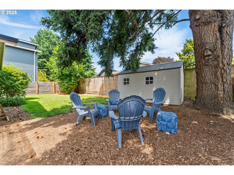 Backyard