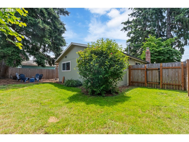 Backyard