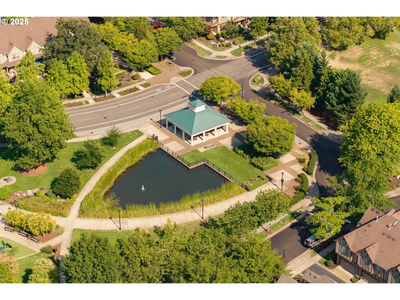 Community Park