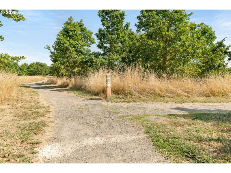 Community Park