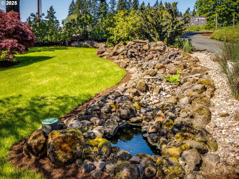 Water Feature