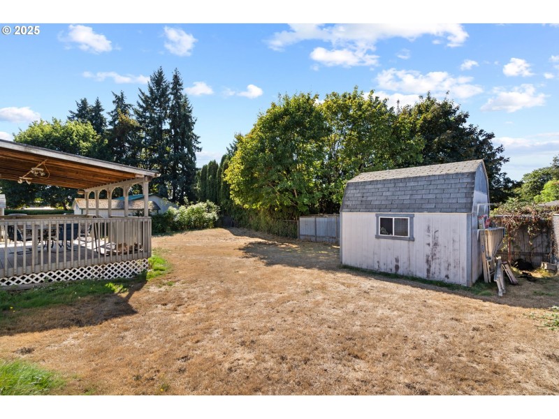 Shed