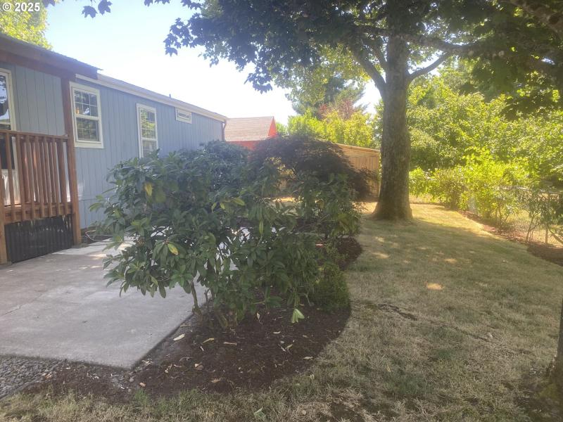 Yard