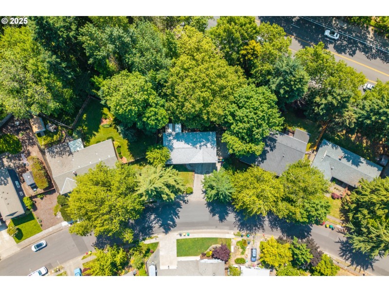 Drone View/UAV