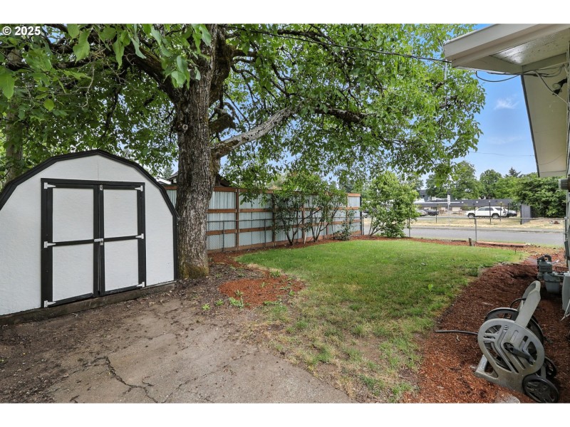 Yard