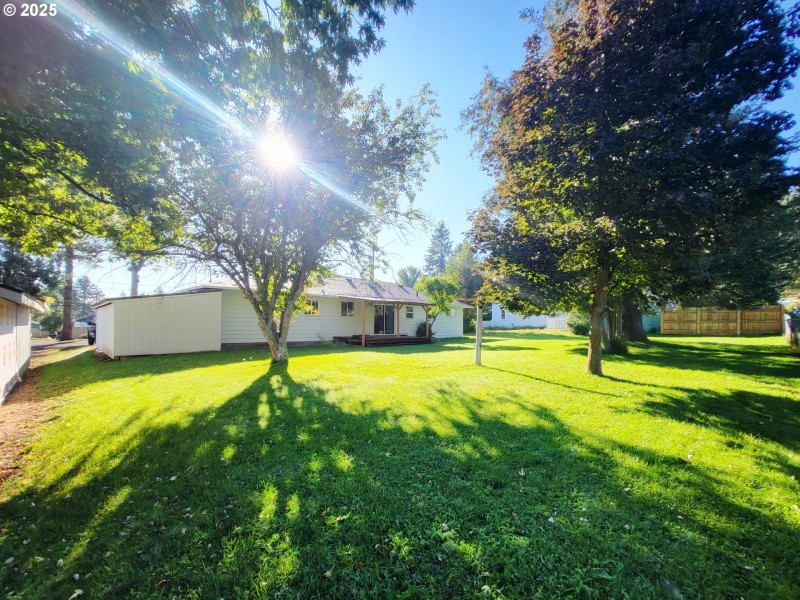 Yard