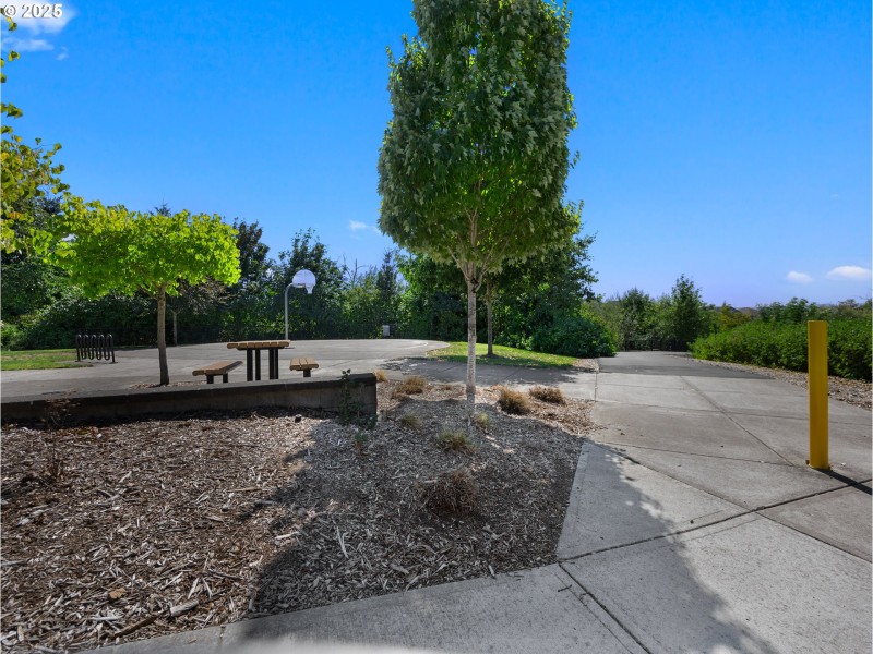 Community Park