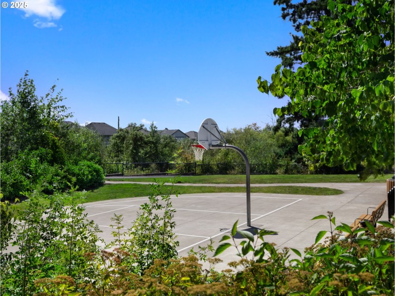 Community Park