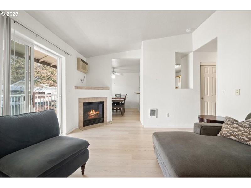 Fireplace Gas