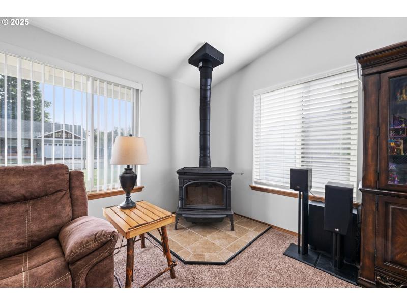 Fireplace Wood Burning Stove/Insert