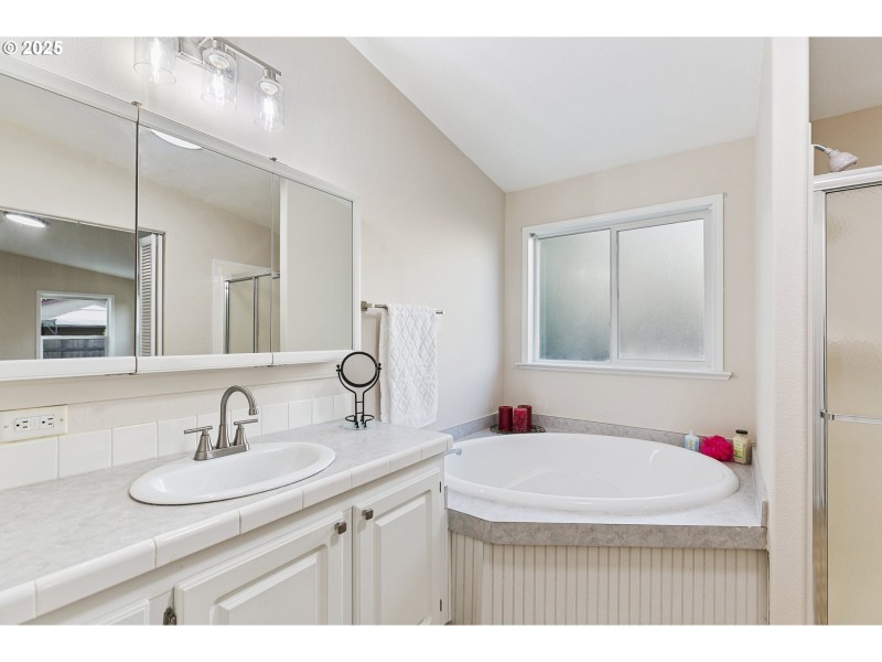 Owner's Suite Bathroom