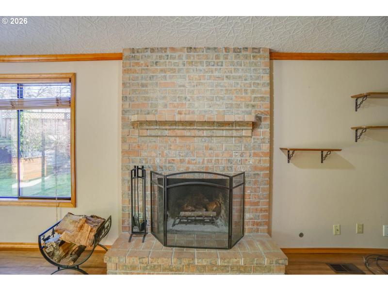 Fireplace Wood Burning Stove/Insert