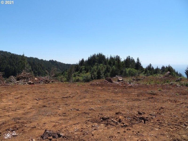 Buildable Area