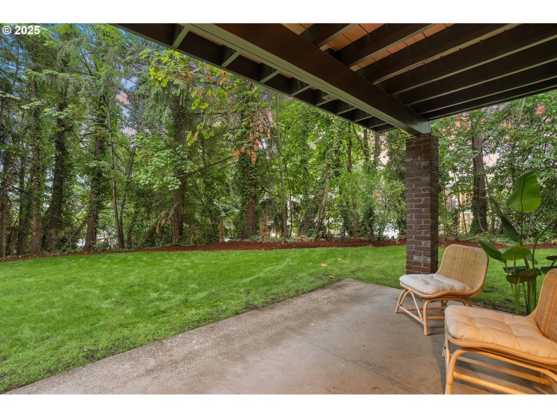 Front Yard