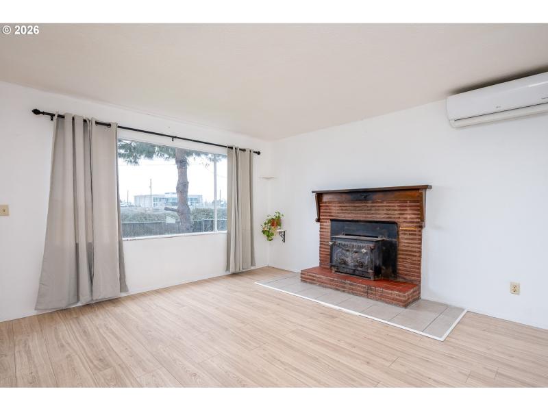 Fireplace Wood Burning Stove/Insert