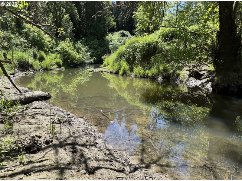 Creek