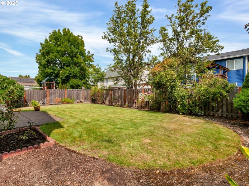 Backyard