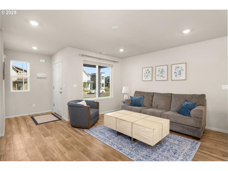 Living Room/Entrance