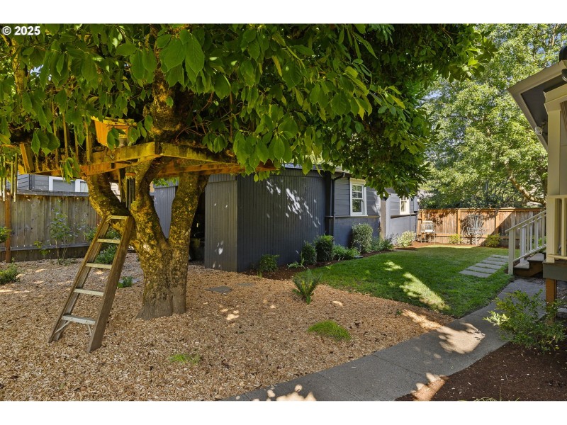 Backyard