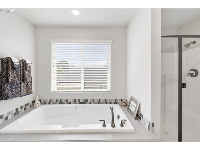 Owner's Suite Bathroom