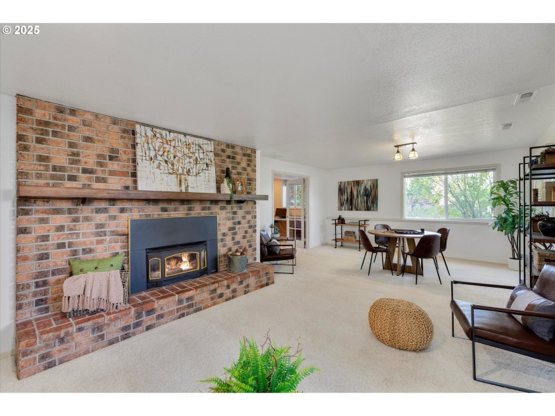 Fireplace Gas