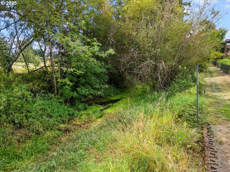 Green Space