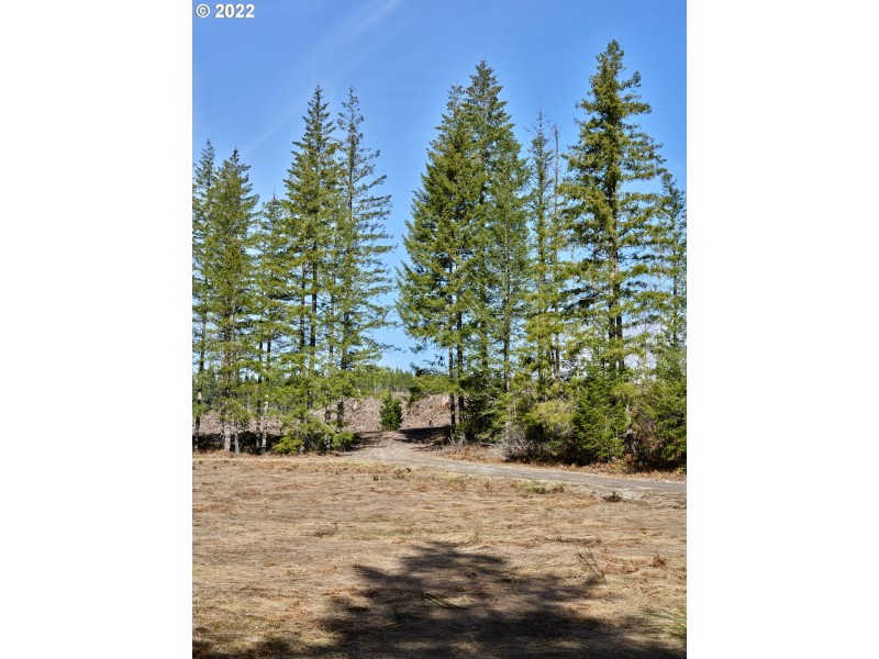 Home Site