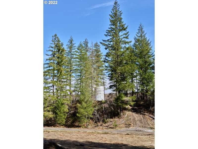Home Site