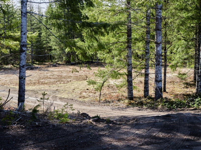 Acreage