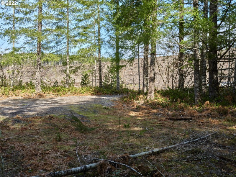 Acreage