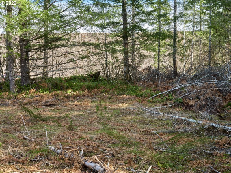 Acreage