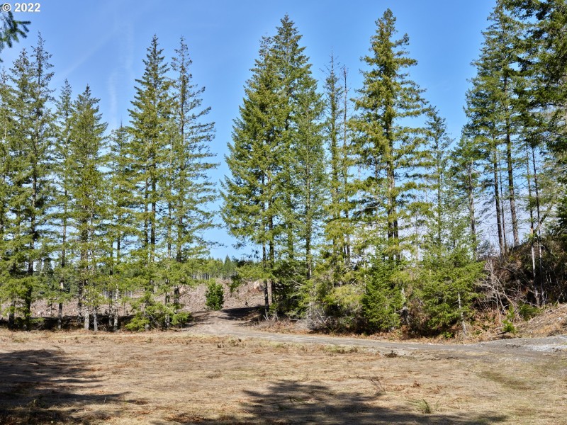 Home Site