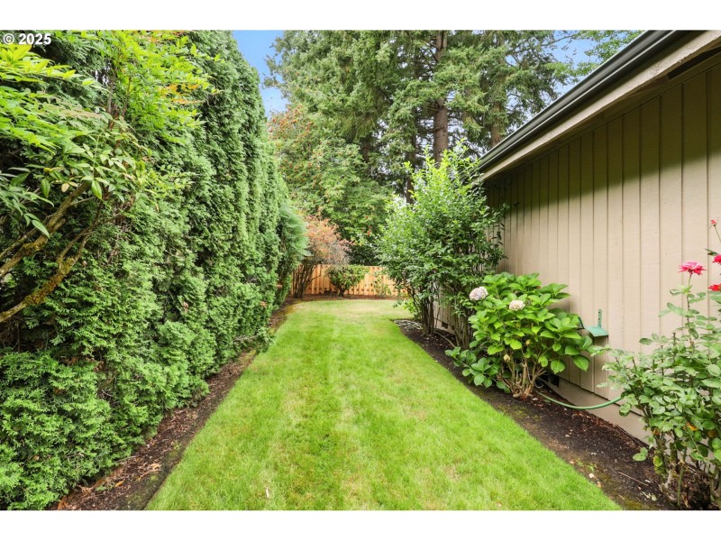Yard