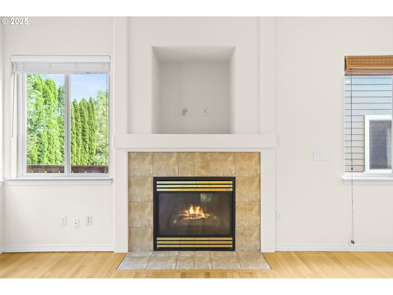 Fireplace Gas